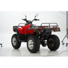 300CC ATV-2 BICICLETA